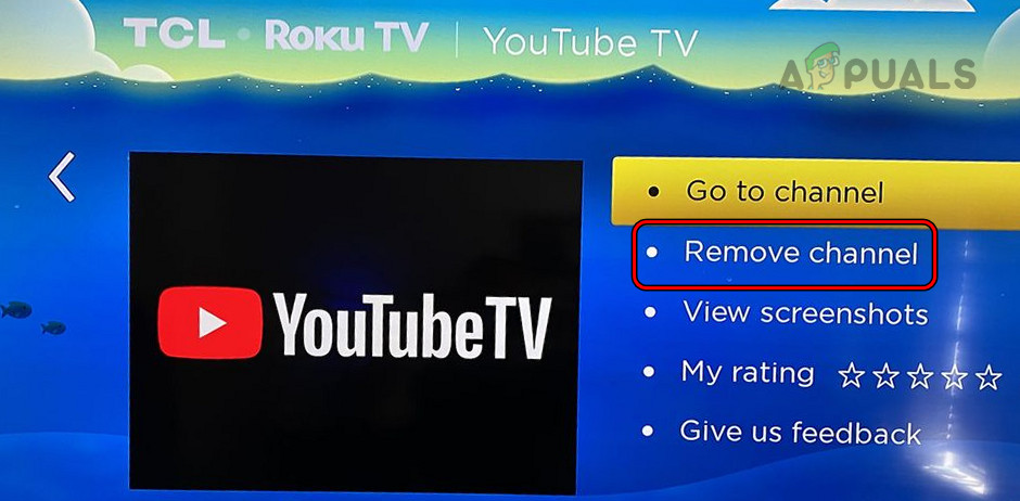 Remove YouTube TV Channel from Roku