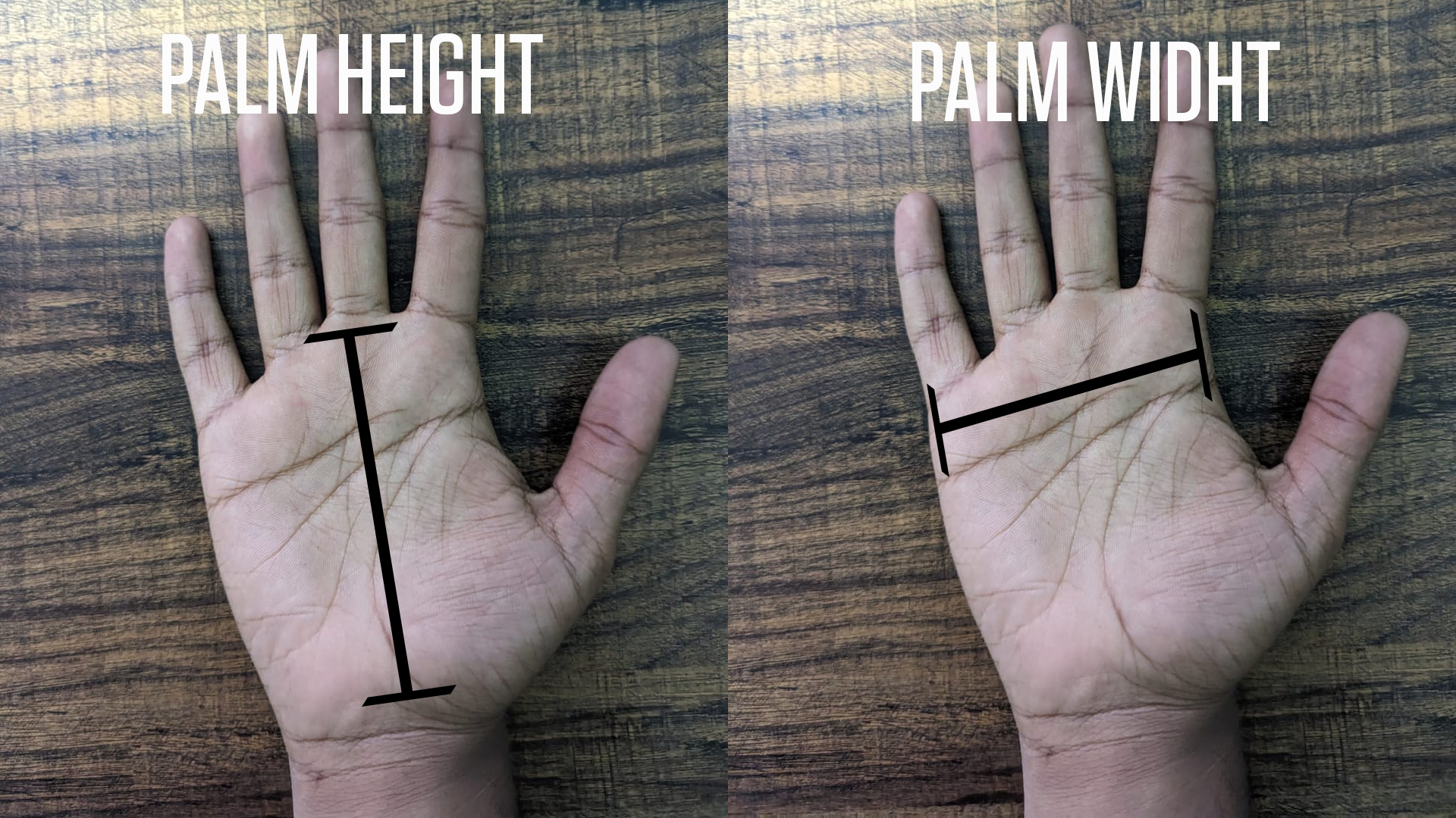 An image showing palm width and palm height