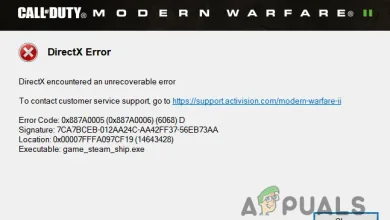 Call of Duty Modern Warfare II DirectX Error