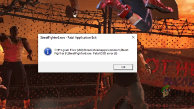 Street Fighter 6 Fatal D3D Error
