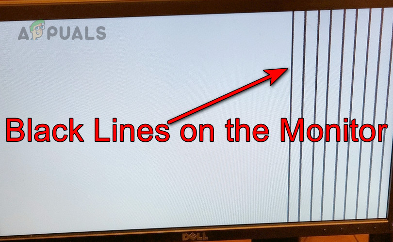Black Lines on the Monitor