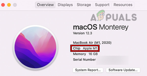 Check if the Mac is Apple Silicon