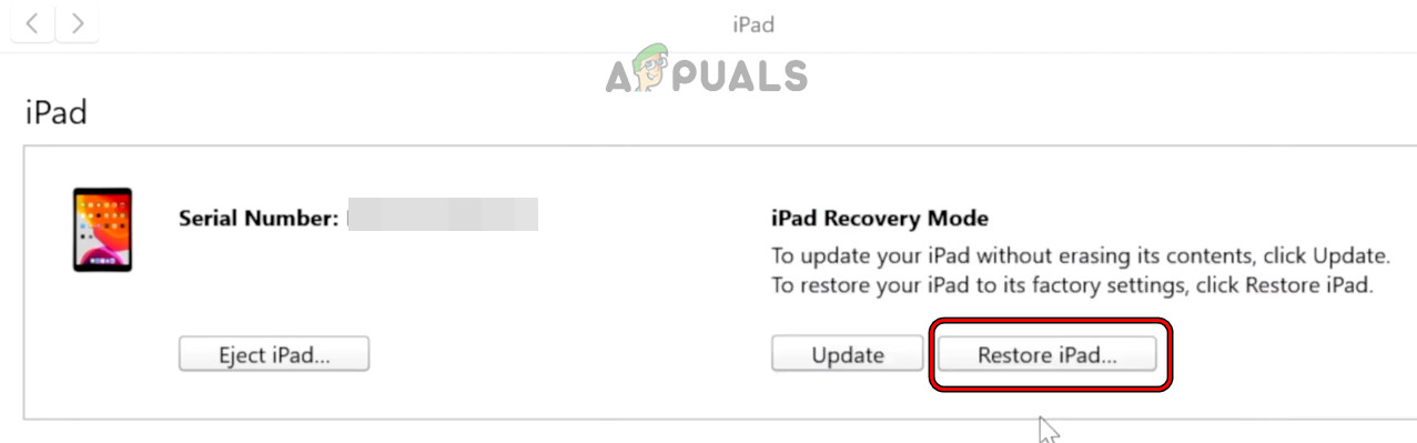 Restore the iPad in the iTunes