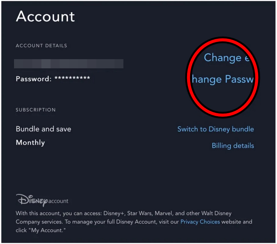 Change the Password of the Disney Plus Account