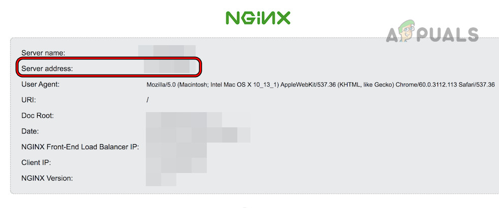 Use the IP Adress of the Server in the Nginx Settings