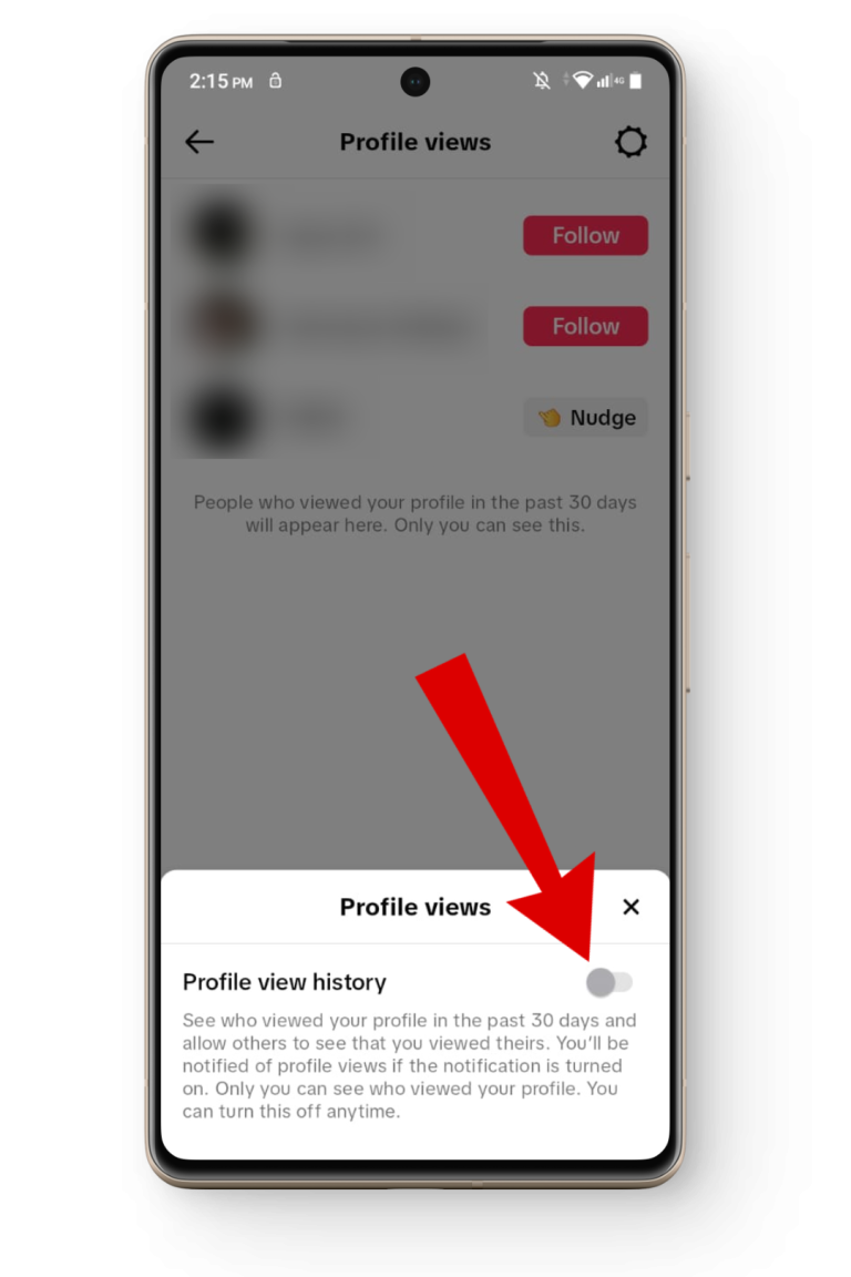 How to Turn On Profile Views on TikTok [2 Easy Methods]