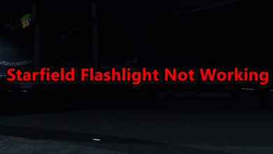 Starfield Flashlight Not Working