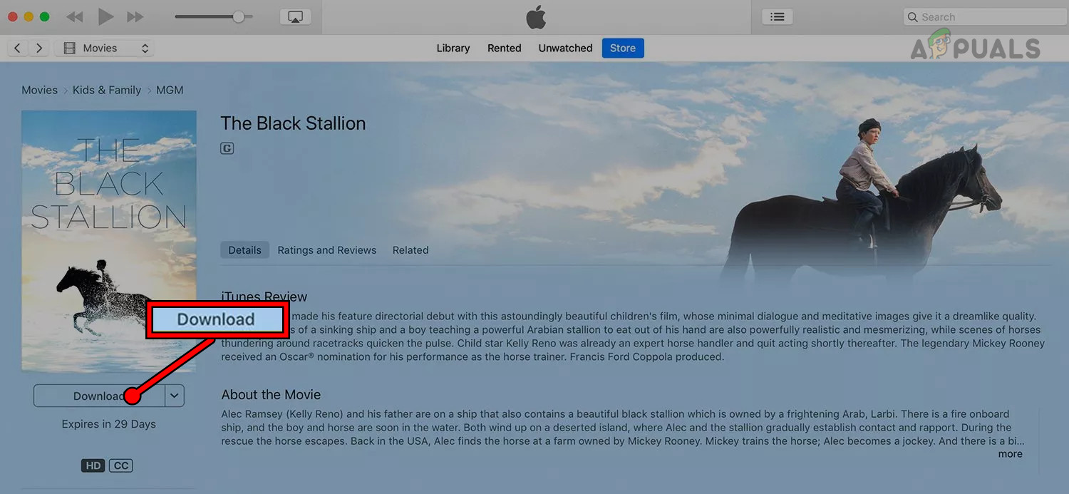 Download the Deleted Movies from the iTunes Store