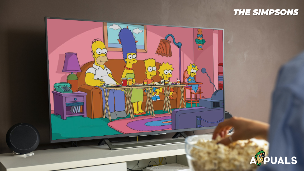The Simpsons FOX TV
