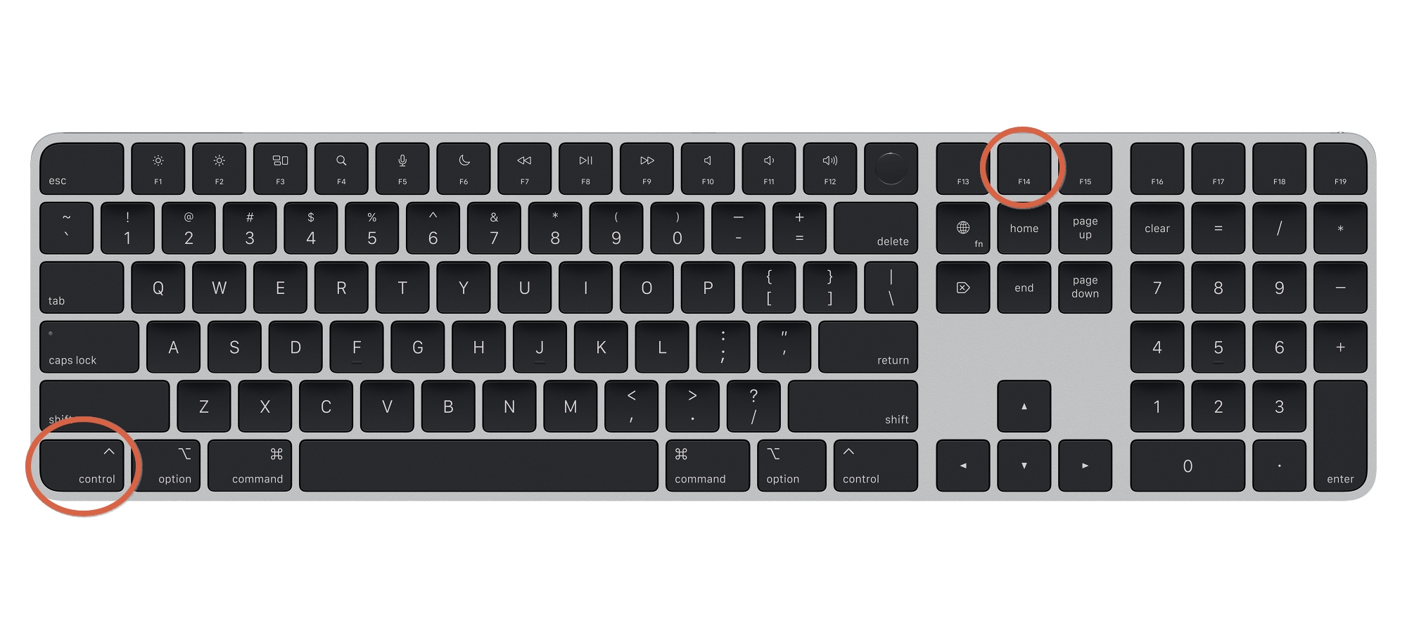 Scroll Lock on Apple's External Full-Sized Keyboard