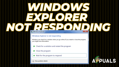 Windows Explorer Not Responding
