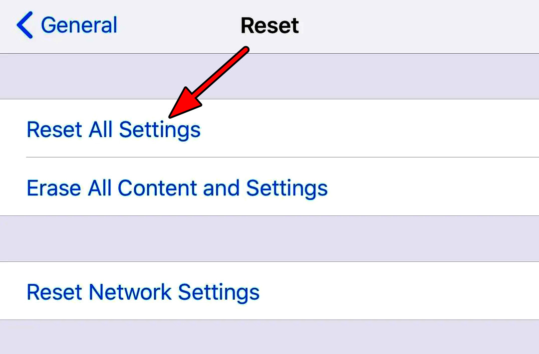 Reset All Settings of the iPhone