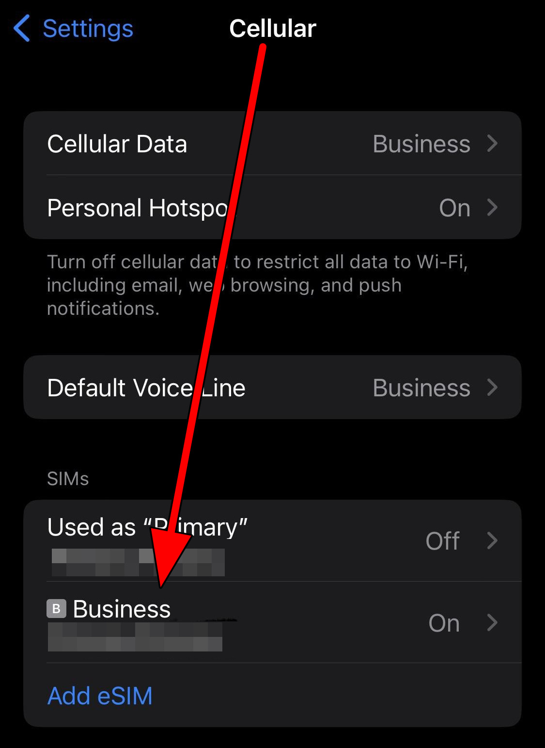 Enable the Required SIM in the Cellular Settings of the iPhone