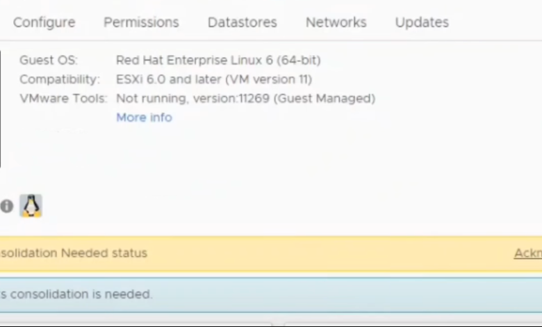 VMware interface showing a Virtual Machine which requires a disk consolidation.