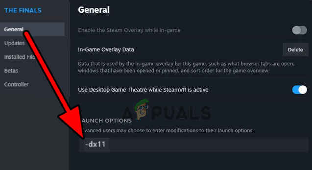 Change the Launch Options of the Finals