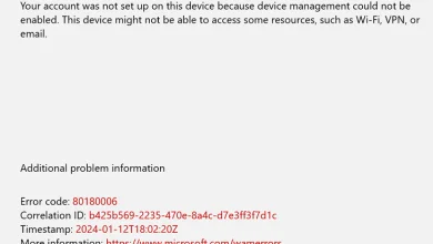 Windows Error Code 80180006
