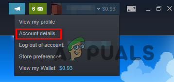 Navigating to Account Details on Steam