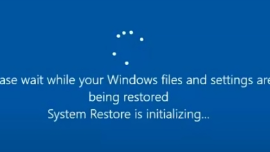 An unending loop of "System Restore is Initializing"