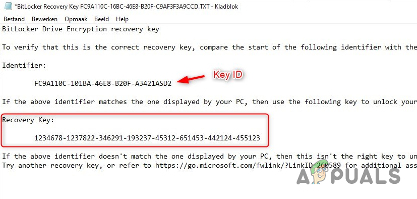 BitLocker Key in USB Drive