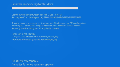 BitLocker Recovery Screen