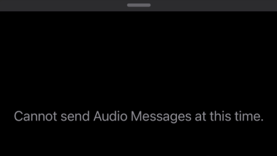 Cannot Send Audio Messages At This Time Error Message