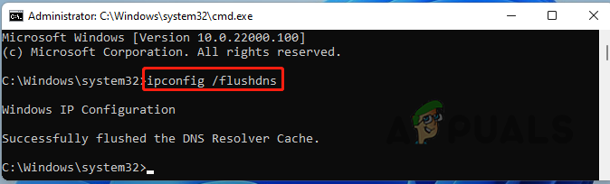 Flushing DNS Cache