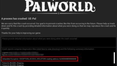 Palworld EXCEPTION_ACCESS_VIOLATION Error