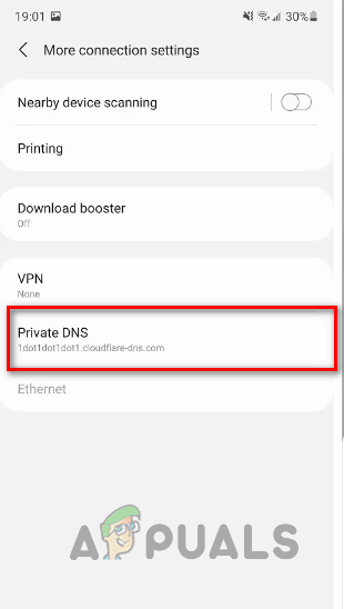 Tapping Private DNS