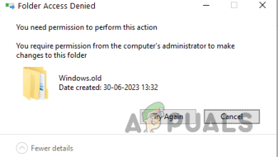 You Require Permission from Administrators to Make Changes to This Folder Error Message