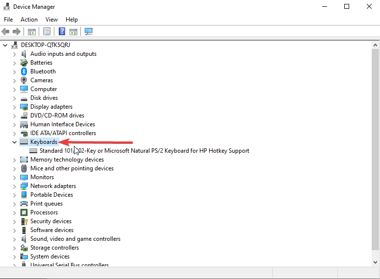 Keyboards section in Device Manager