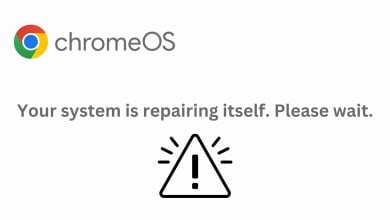 Your system is repairing itself please wait