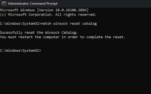 Fix: Hell Let Loose-Network Error Has Occurred On PC