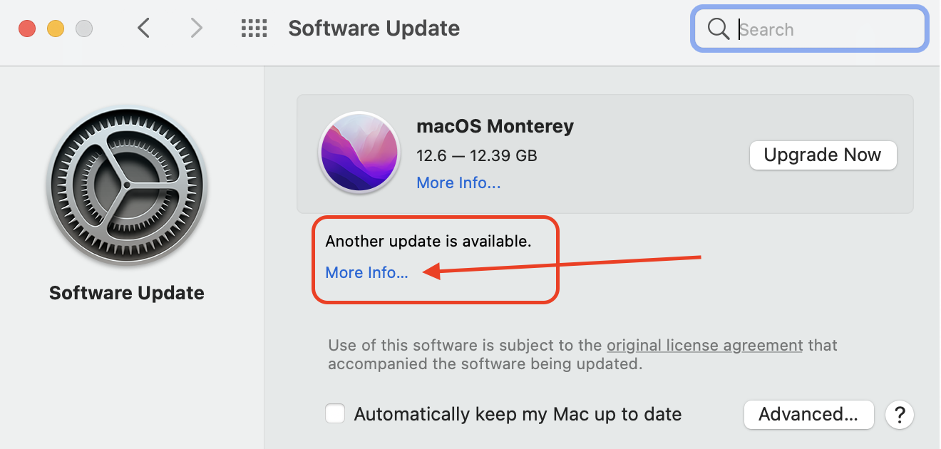 Mac Software Update settings being checked while Quick Look preview is not working.