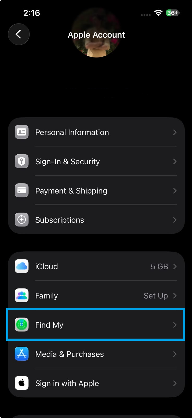 iPhone Apple Account settings showing the Find My menu.