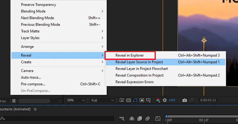 After Effects Project panel showing Reveal in Explorer for the problem footage file.