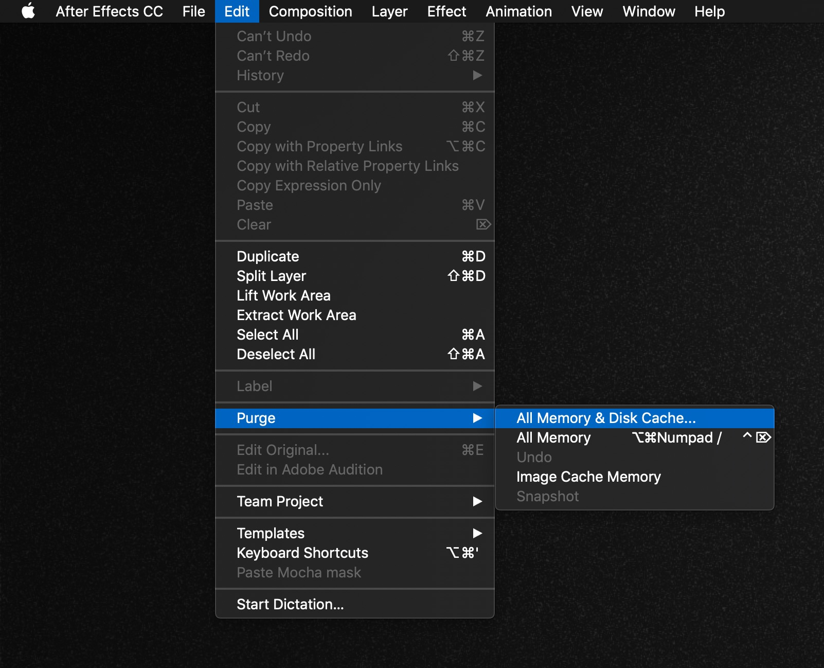 After Effects Purge All Memory and Disk Cache and Clean Database and Cache options.