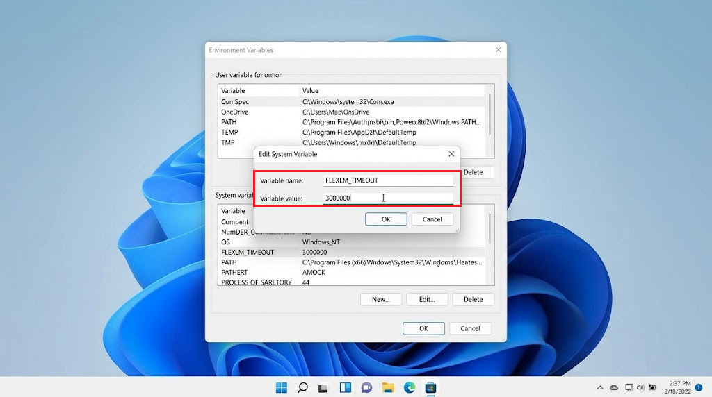 Windows variable editor with FLEXLM_TIMEOUT set to 3000000.