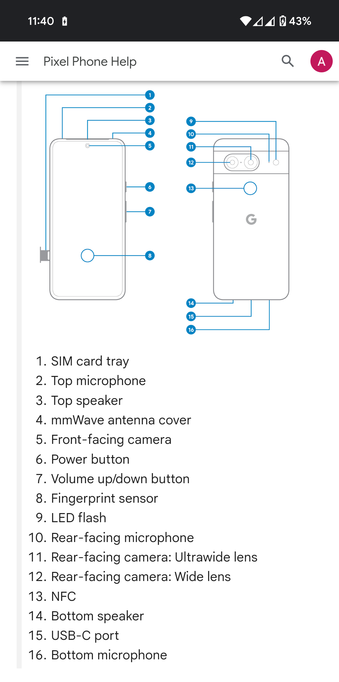 Google Pixel hardware diagram showing the bottom speaker, USB-C port, and bottom microphone labels.