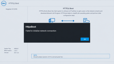 Dell HTTP(s) Boot screen reporting that it failed to initialize a network connection before Windows starts.