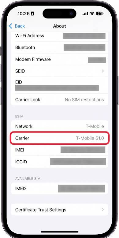 iPhone Settings with General selected.