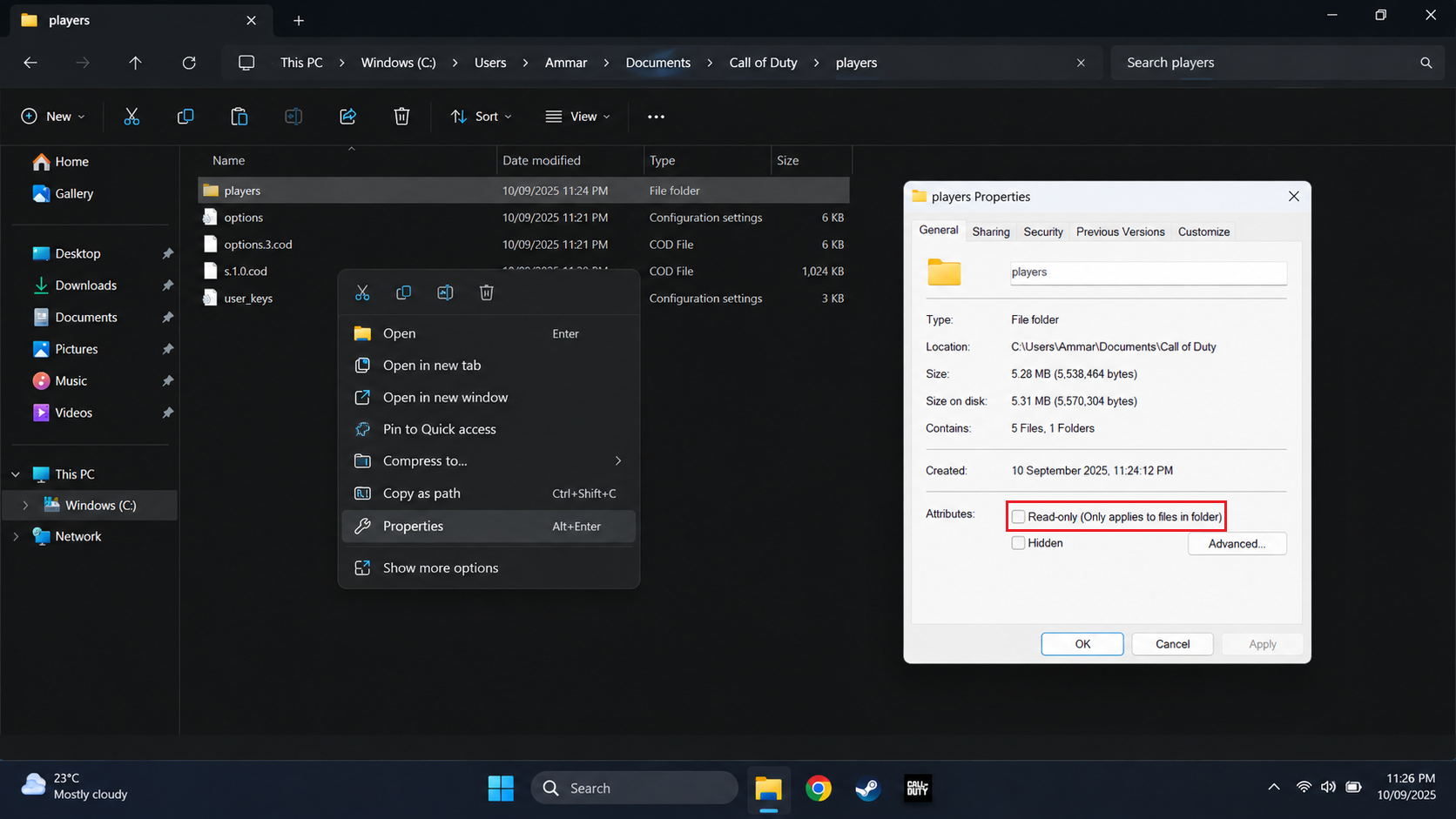 Windows folder properties clearing Read-only from Call of Duty player settings files.