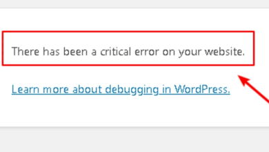 WordPress displaying There has been a critical error on this website instead of the requested page.